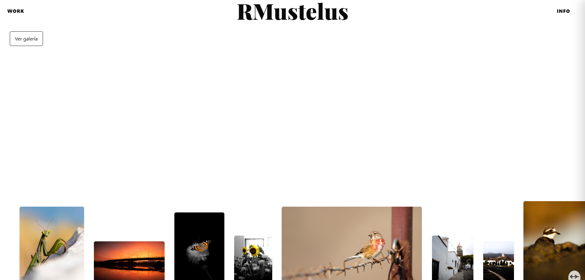 RMustelus